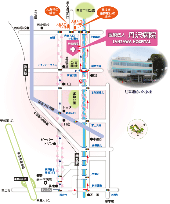 アクセス 丹沢病院 秦野市の精神科 心療内科 認知症